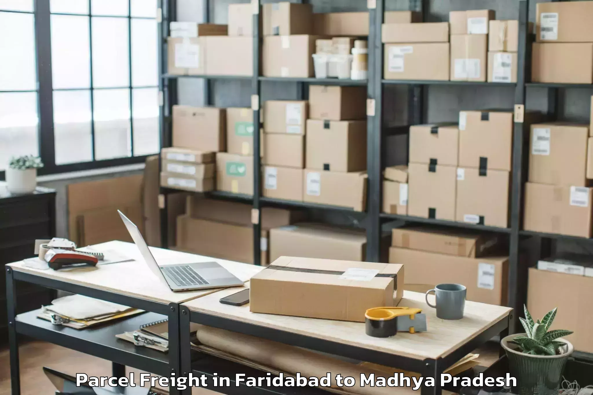 Easy Faridabad to Khilchipur Parcel Freight Booking